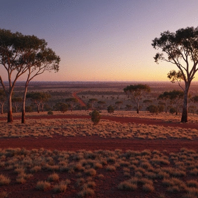 Poignant sunrise over Australian outback landscape