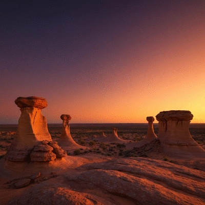 Lush Australian outback landscape at sunset